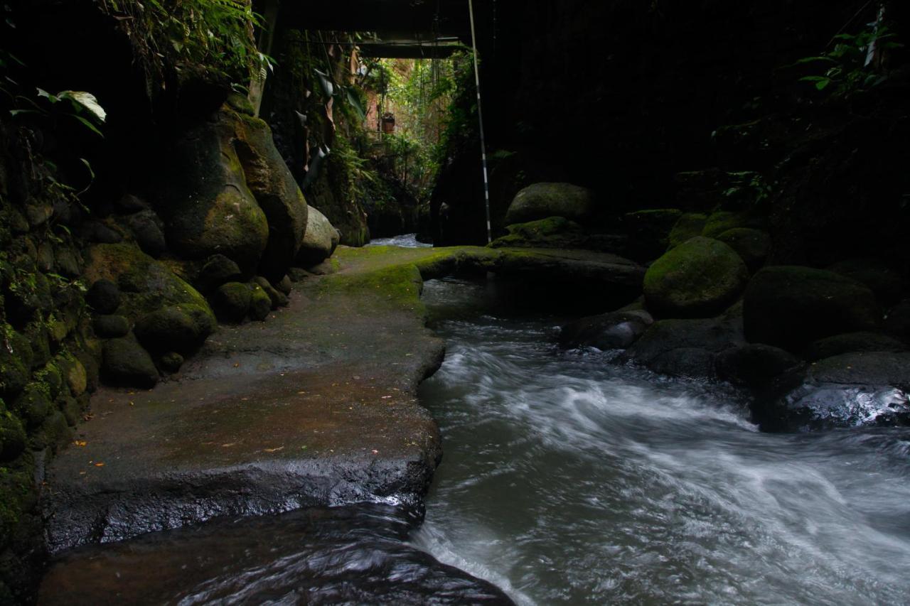 Pondok Legon House Ubud Buitenkant foto
